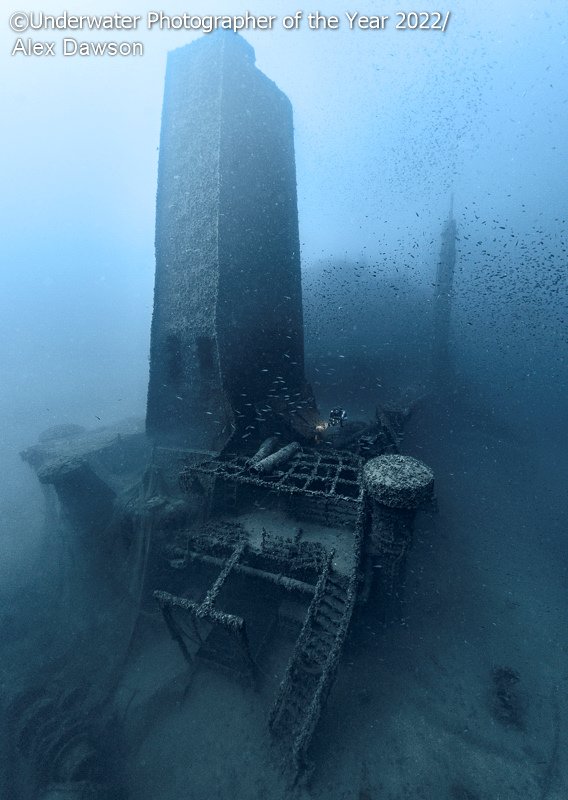 Победители фотоконкурса Underwater Photographer of the Year 2022