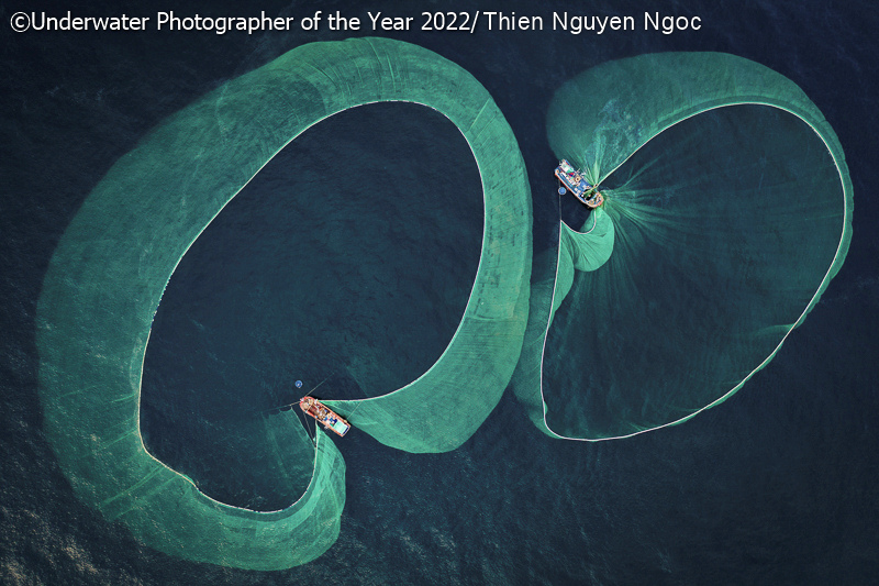 Победители фотоконкурса Underwater Photographer of the Year 2022