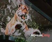 Гиперреалистичная реклама Samsung – тигр, выпрыгивающий из экрана, напугала жителей пяти городов