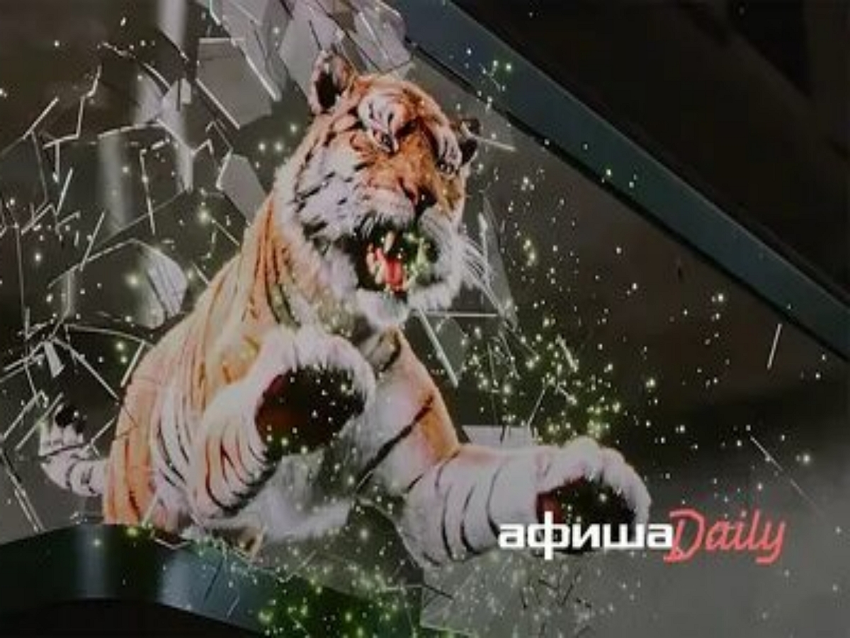 Гиперреалистичная реклама Samsung — тигр, выпрыгивающий из экрана, напугала жителей пяти городов