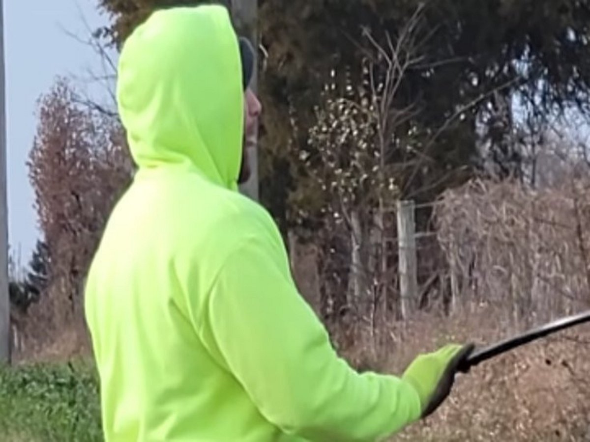 Парень «пофлиртовал» с коровой, склонив ее к взаимности