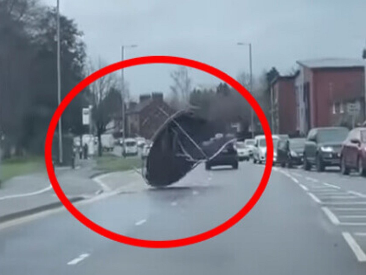 Батут отправился в путешествие по дороге