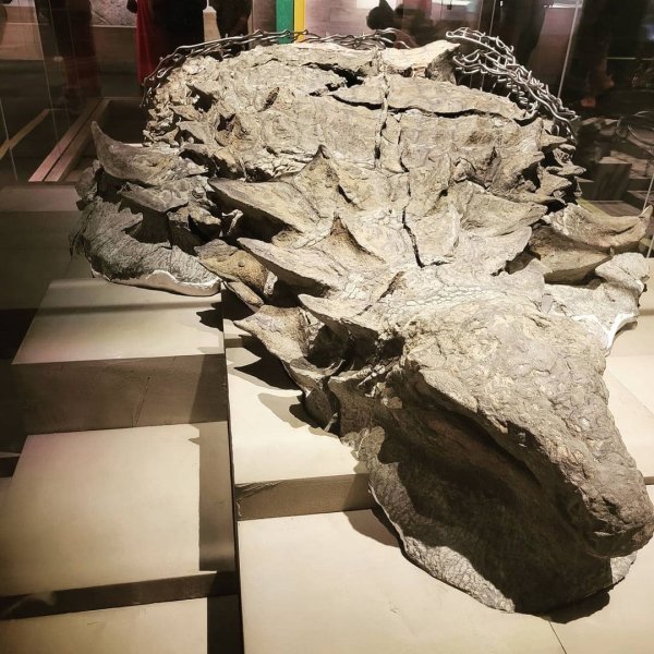 Подборка сенсационных археологических находок