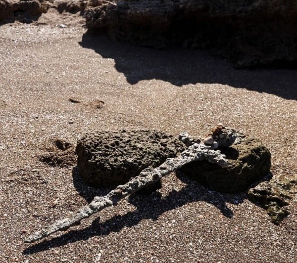 Подборка сенсационных археологических находок