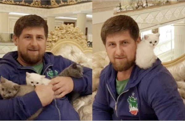 Известные люди со своими домашними питомцами