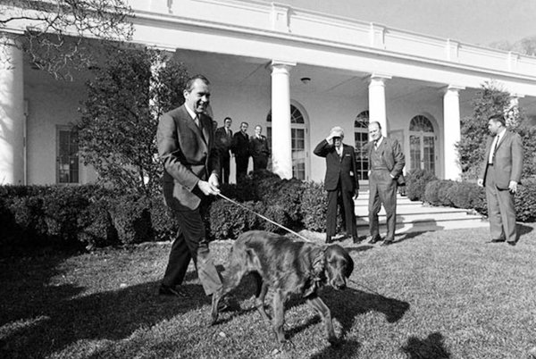 Известные люди со своими домашними питомцами