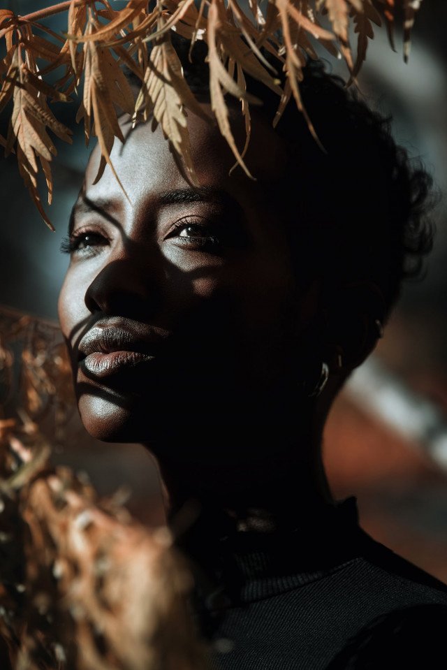 Победители и номинанты конкурса Sony World Photography Awards 2022 года