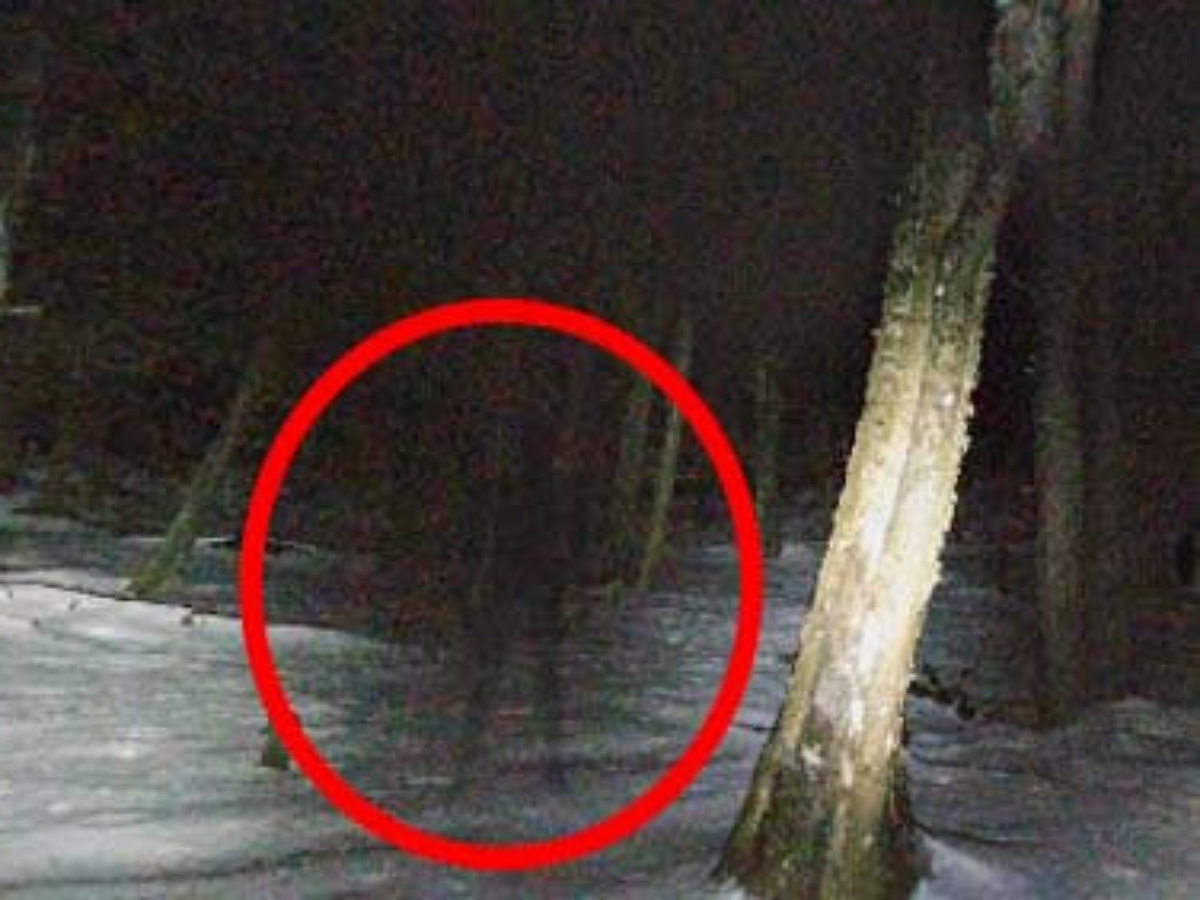 На виртуальной карте леса обнаружили человека-тень