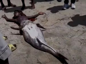 Очевидцы обнаружили на берегу «живую русалку» и сняли ее на видео