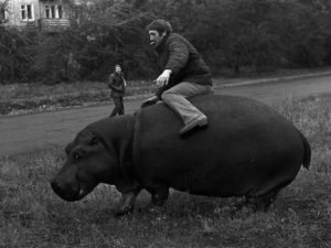 Звезды, которые кардинально изменились при смене цвета волос 