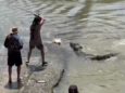 Рыбак отвоевал свою рыбу у голодного крокодила