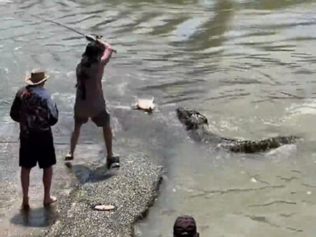 Рыбак отвоевал свою рыбу у голодного крокодила