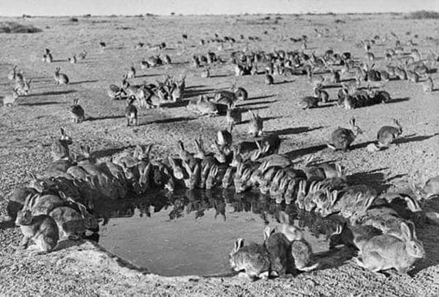 Редкие исторически фото, которые погружают в атмосферу того времени