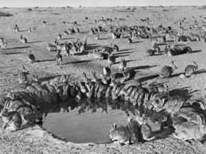 Знаменитости  похожие на своих родных