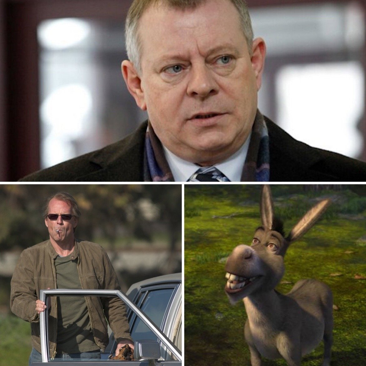 Актеры дубляжа, голос которых знают миллионы