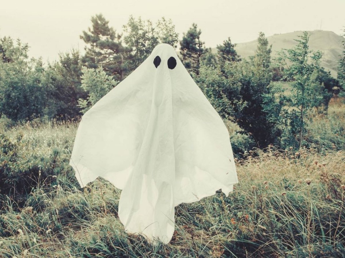 Лесной призрак, прячущийся в кустах, попал на видео