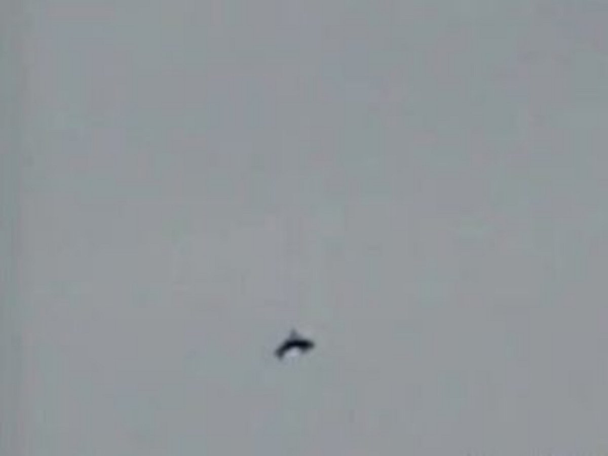 НЛО в форме дельфина пролетело в небе Англии