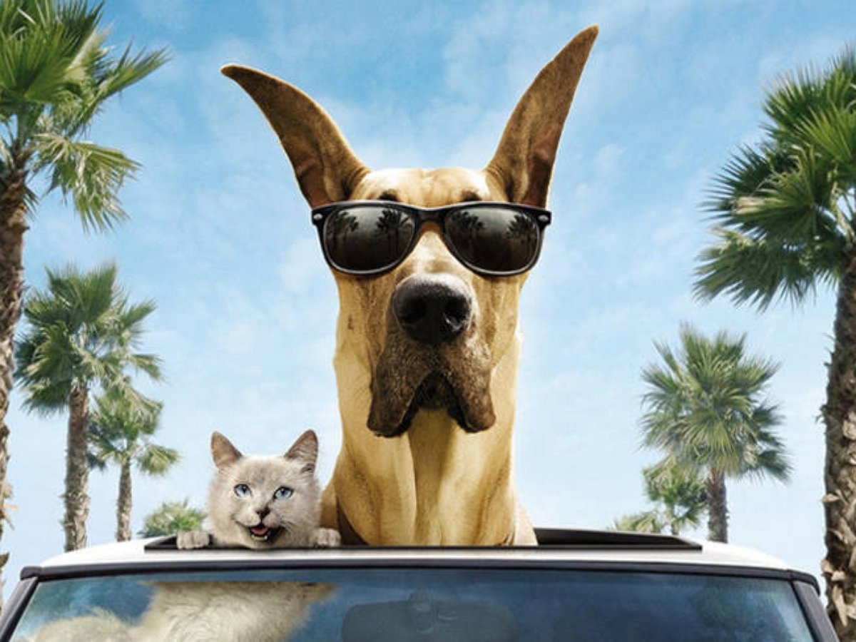 Этот штурман не допустит нарушений ПДД