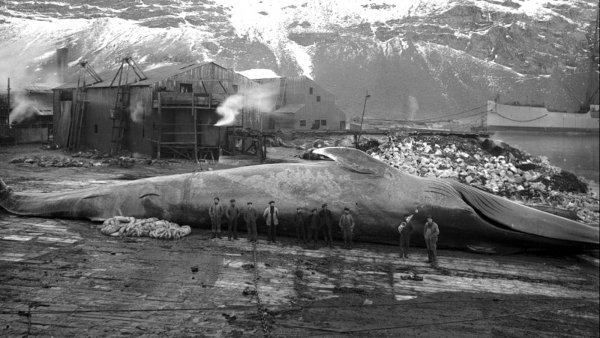 Редкие исторические фото, которые передают атмосферу прошлых лет