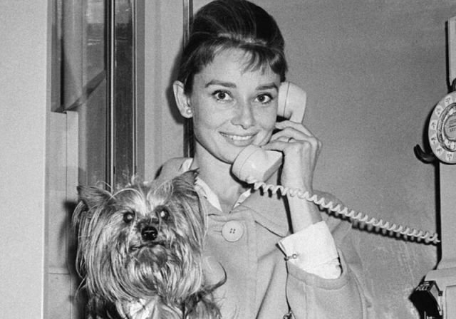 Редкие исторические фото, которые передают атмосферу прошлых лет