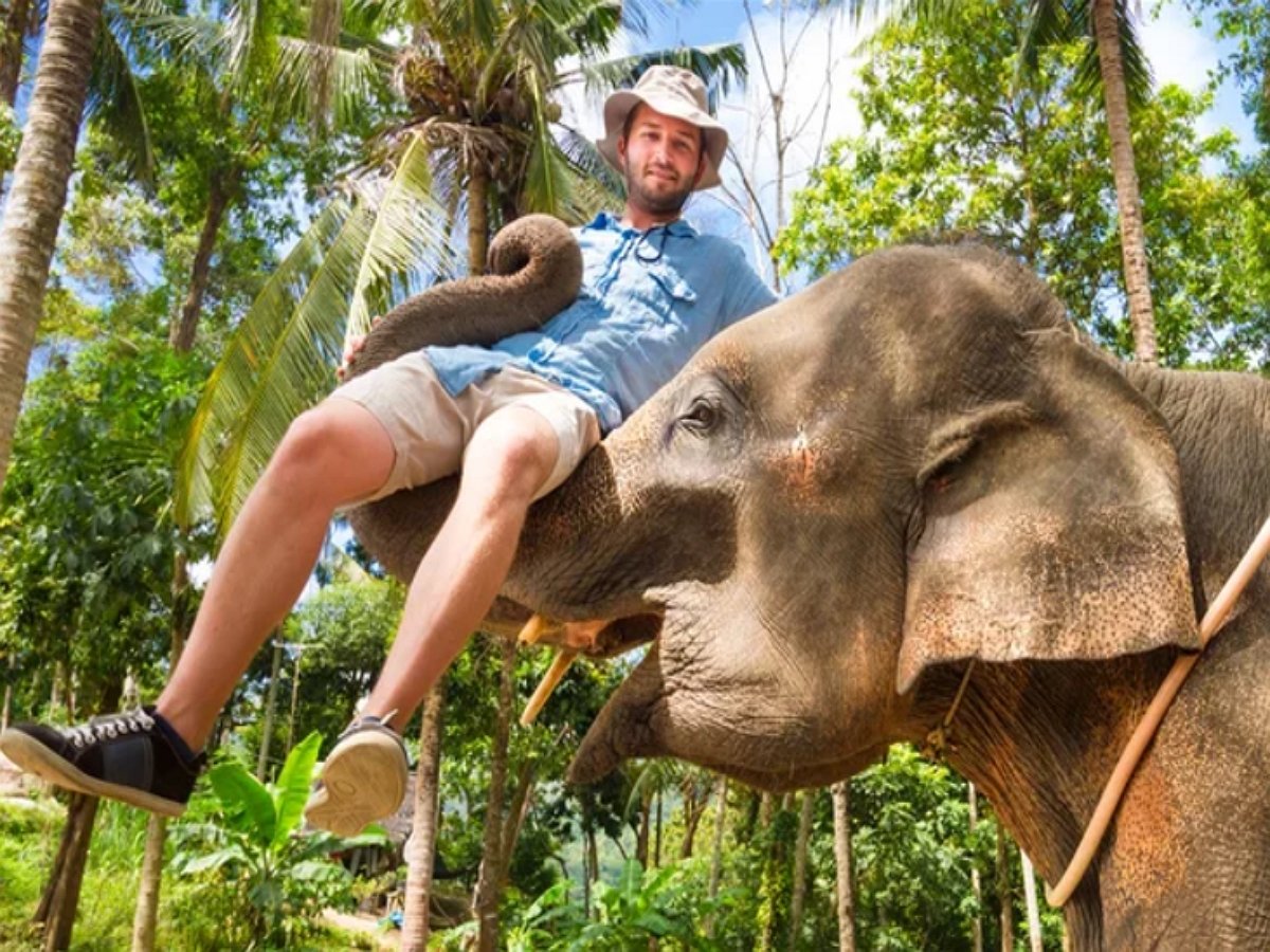 Слоны радуются встрече с любимым человеком после долгой разлуки