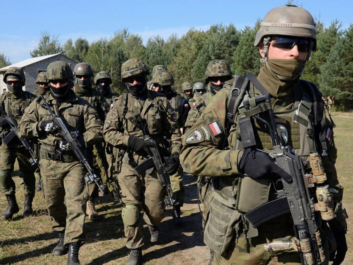 Польша армия в 40 млн против РФ