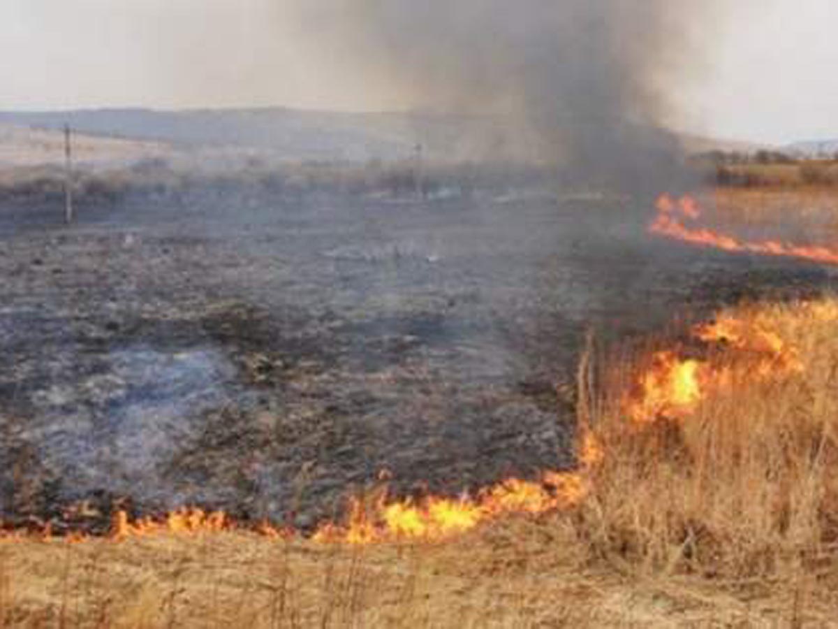 Украинский Ми-24 случайно сжёг поле