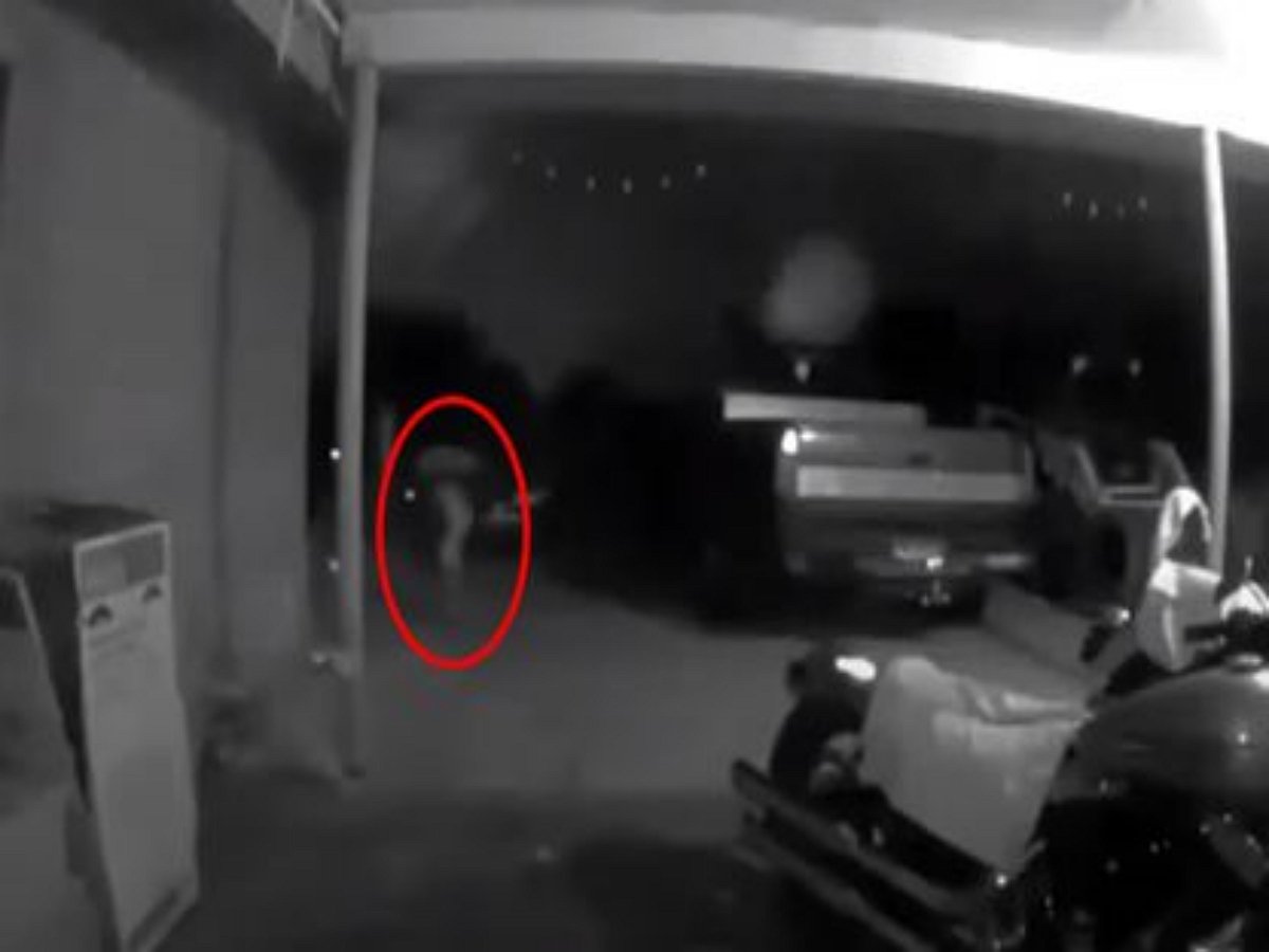 Домовладелица обнаружила «инопланетянина» прямо перед собственным домом