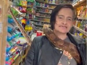 Шестиметровый удав попытался ограбить продуктовый магазин