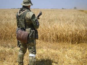 Переговоры зерно