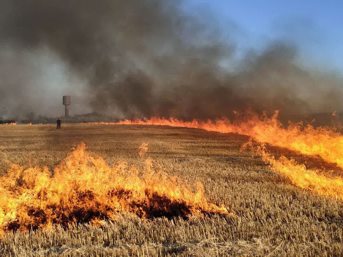 Украина поджигает поля с пшеницей на границе с Херсонской областью
