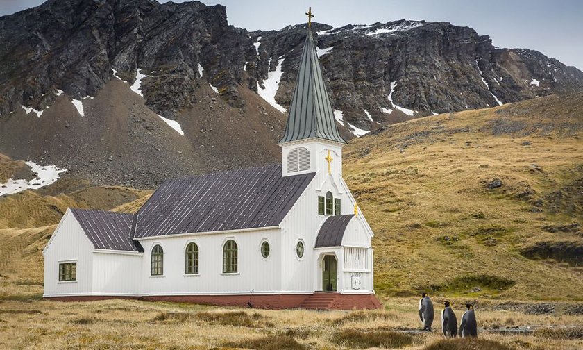 Забавные снимки животных, которые не могут не рассмешить