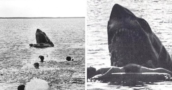 Закадровые снимки с вырезанными сценами из известных фильмов