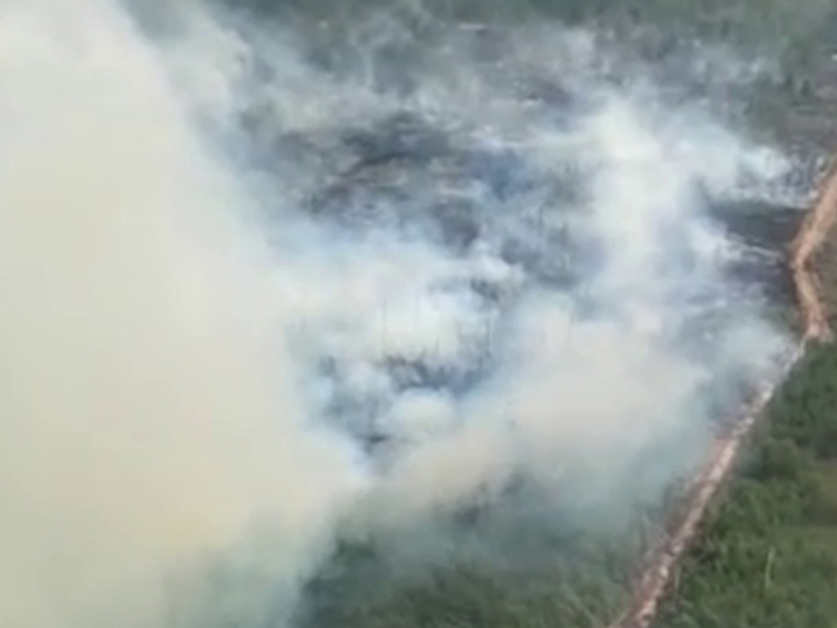 Видео пожаров в Рязанской области