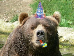 Медведь незваным пришел на детский день рождения и сожрал все сладости