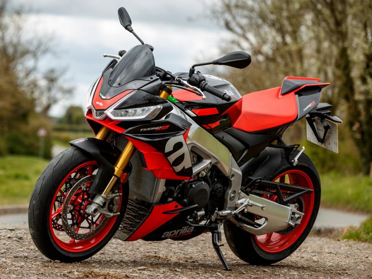 Питбуль модернизировал хозяйский мотоцикл по своему вкусу