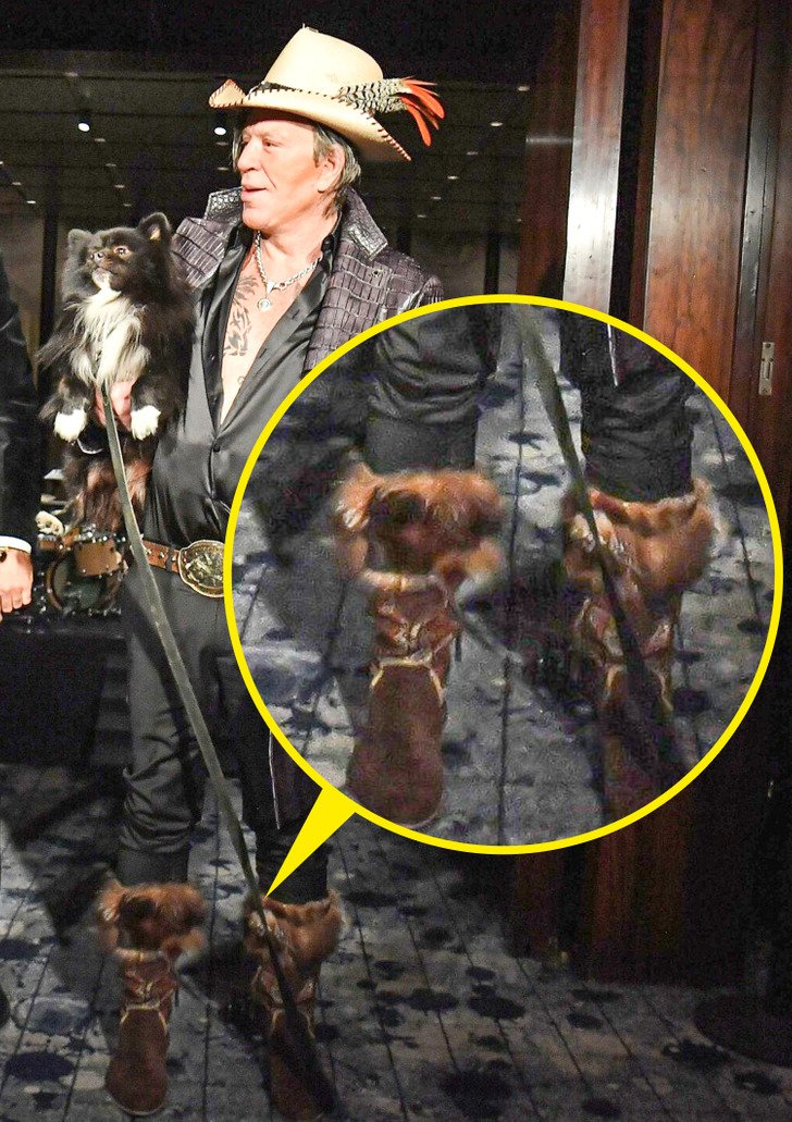 Необычная и неудачная обувь знаменитостей