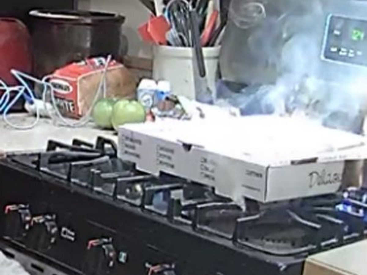 Собака устроила пожар, пытаясь украсть пиццу