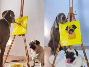Пес нарисовал портрет другой собаки, вызвав бурный восторг в Сети