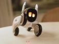 Робот-питомец Loona с собственной личностью скоро поступит в продажу