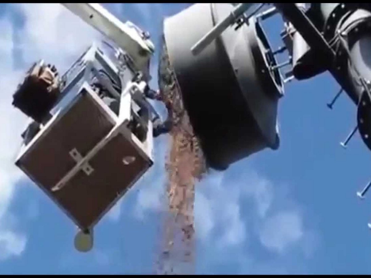 Хитрая белка хранила полтора центнера орехов на вершине антенны