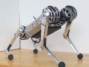 Робот-гепард Mini Cheetah бьет рекорды скорости