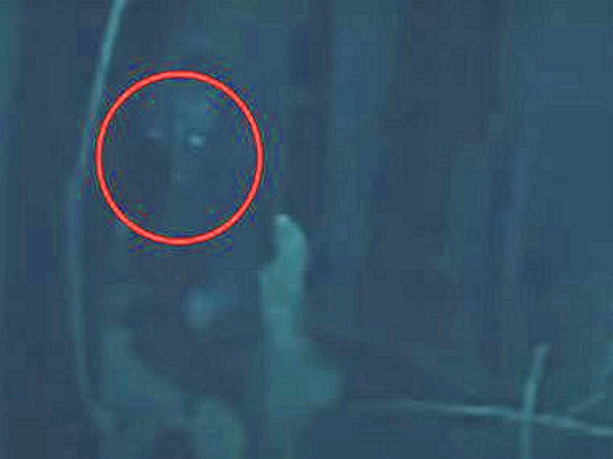 Гуманоид со светящимися глазами посетил австралийского домовладельца, попав на видео