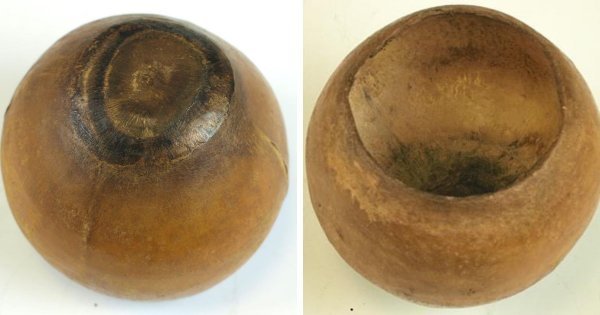 Самые странные и немного жуткие экспонаты из разных музеев мира