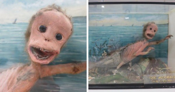Самые странные и немного жуткие экспонаты из разных музеев мира