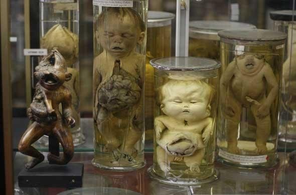 Самые странные и немного жуткие экспонаты из разных музеев мира