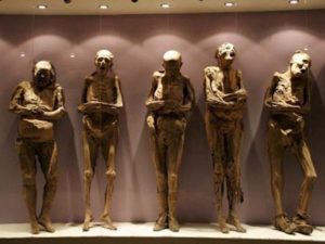 Самые странные и немного жуткие экспонаты из разных музеев мира