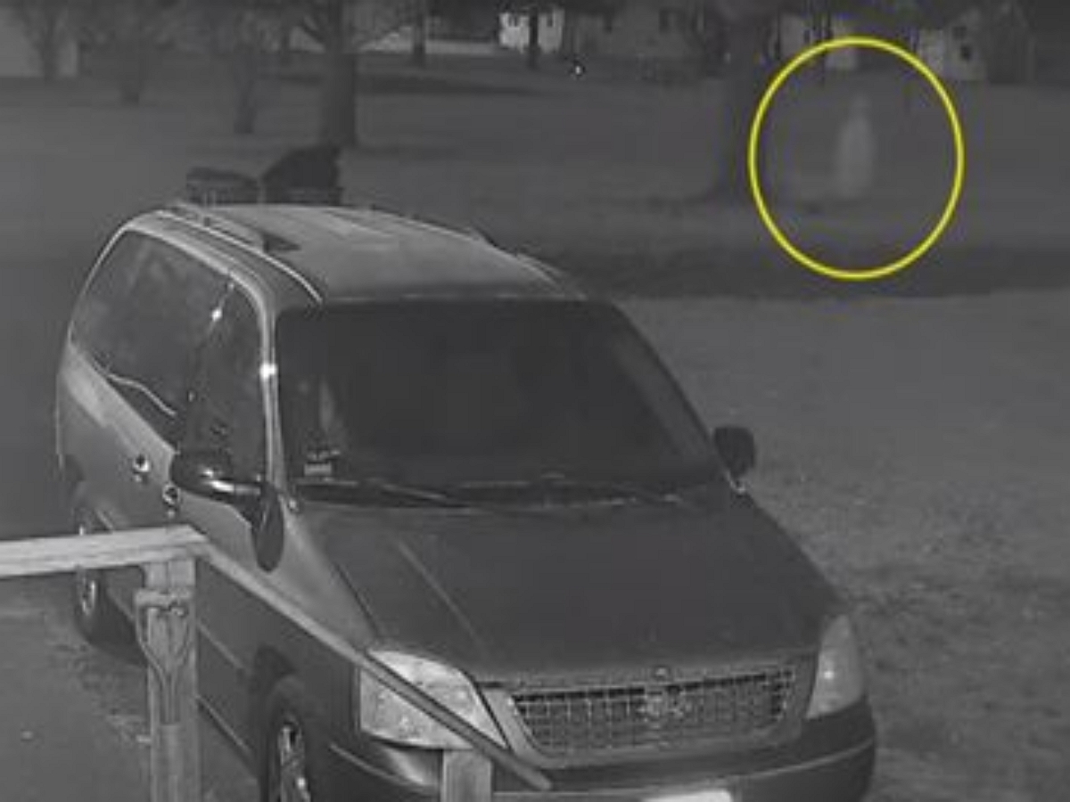 Собака облаяла призрака, бродившего у дома, попав на видео