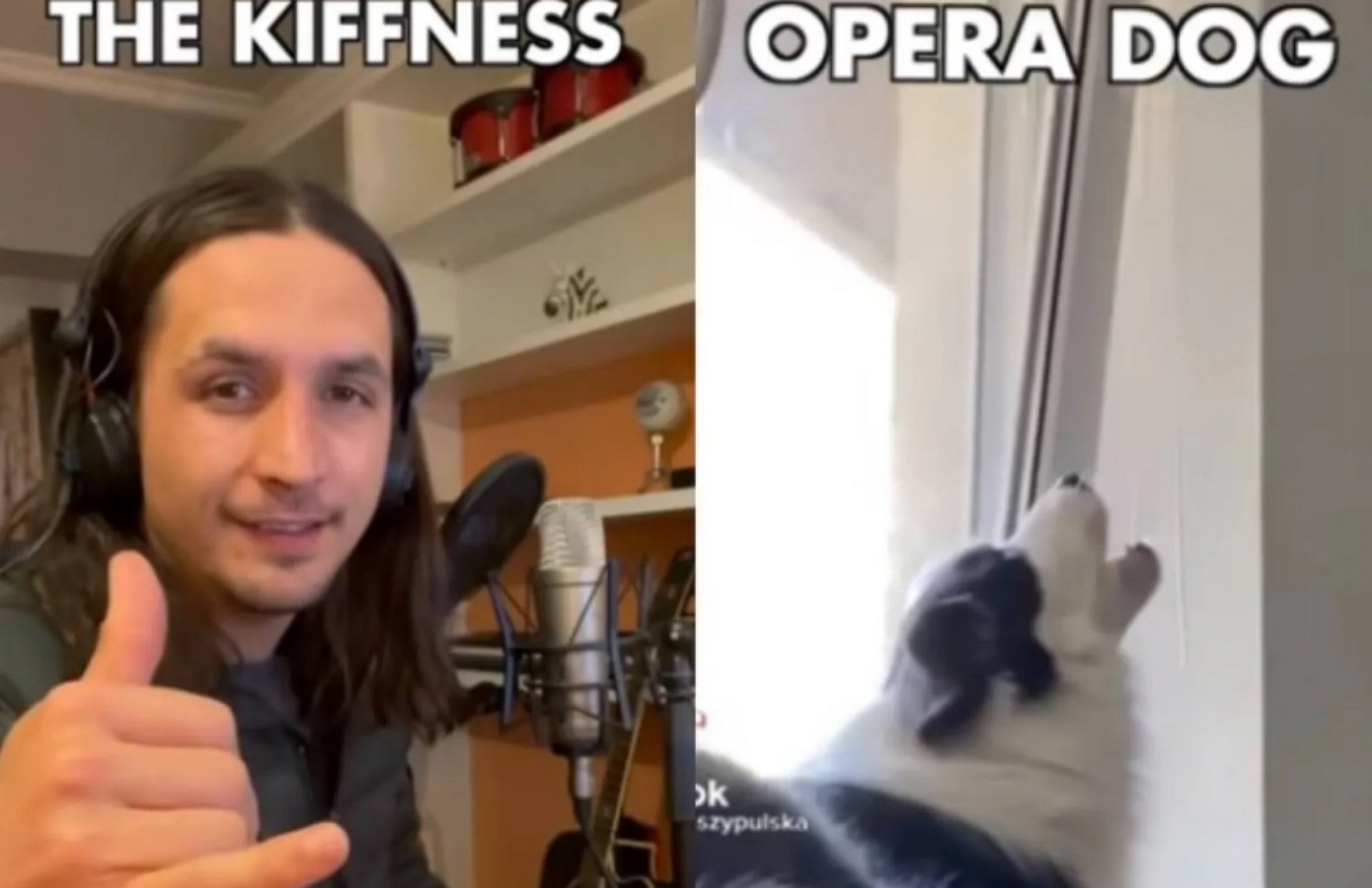 Дуэт музыканта и поющего пса стал шедевром в Сети