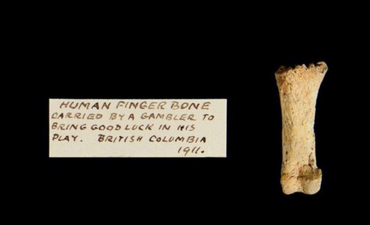 Самые странные и немного жуткие экспонаты из разных музеев мира